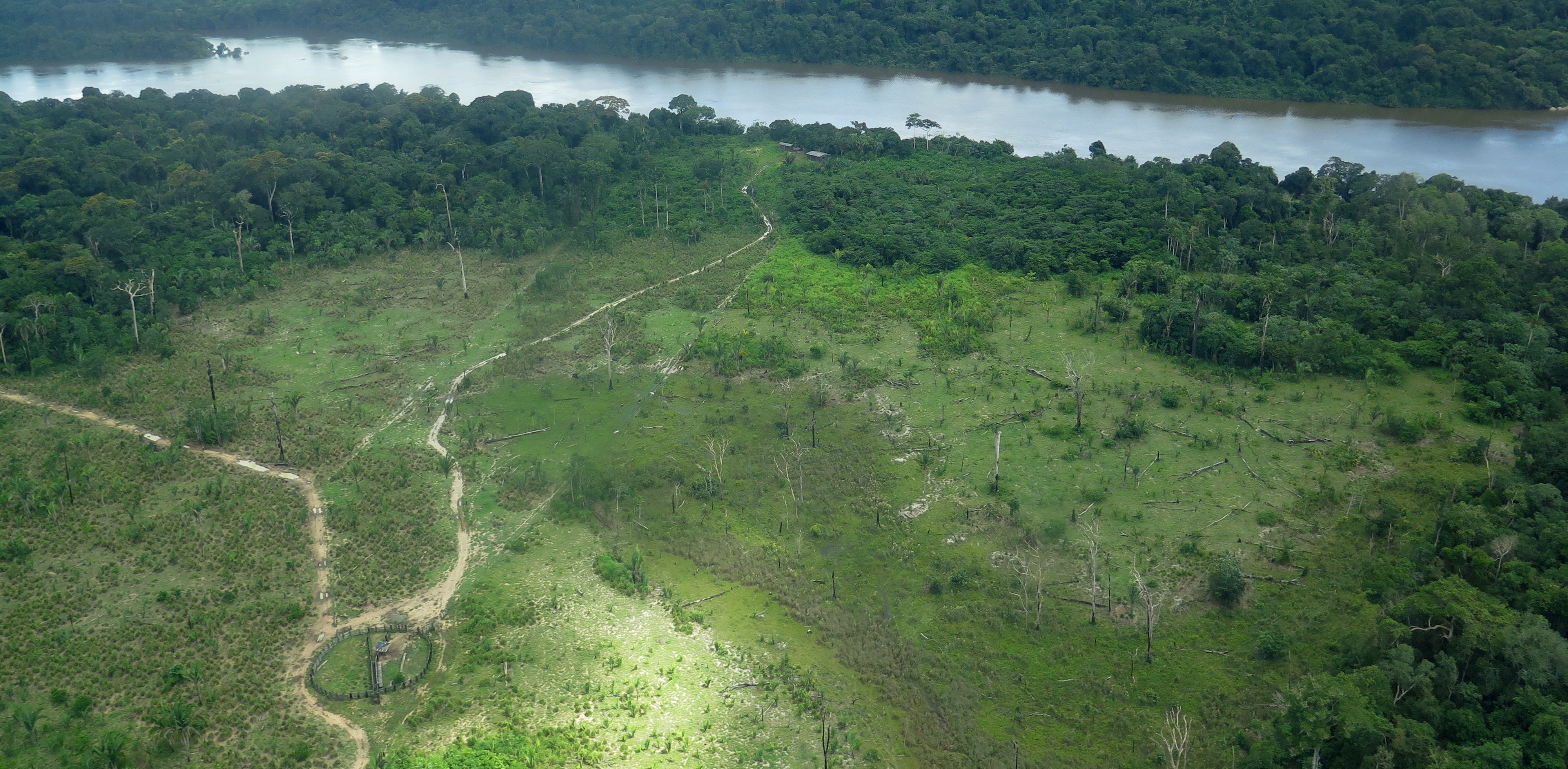 Avanço da agropecuária, garimpo ilegal, grilagem de terras e roubo de madeira provocaram o desmatamento de 70 mil hectares na Bacia do Xingu