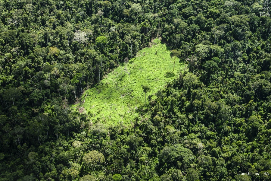 Avanço da agropecuária, estradas ilegais e floresta no chão. Assim começa o ano no Xingu