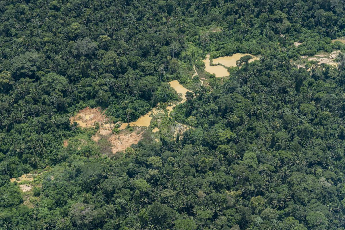 Sobrevoo na Terra Indígena Apyterewa, no Estado do Pará, revela atuação do garimpo ilegal nos afluentes do Igarapé Bom Jardim|Rogério Assis/ISA
