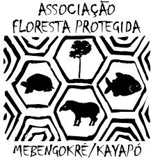 Associação Floresta Protegida (AFP)